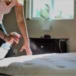 Best Mattress Cleaner - featured image