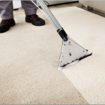 Advance Carpet Cleaner, Best Price & Review - featured image