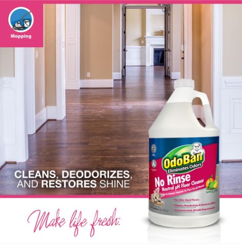 odoban floor cleaner​