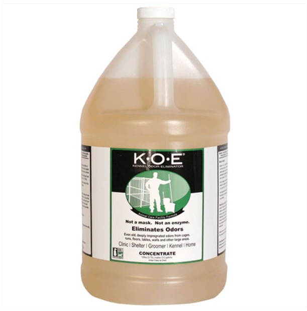 KOE Cleaner - featured image